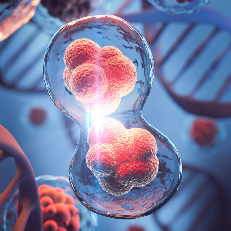 Staffing Solutions Life Sciences